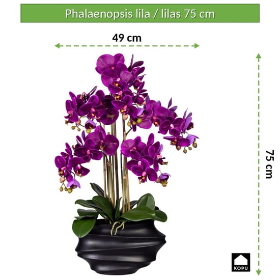 Kopu ® Kunstorchidee 75 cm – schwarze Vase Phalaenopsis - Image 2