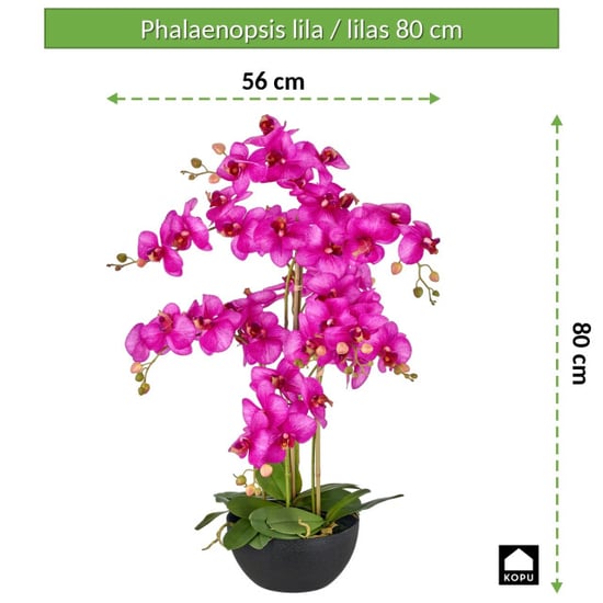 Kopu ® künstliche Orchidee 80 cm – schwarze Schale Phalaenopsis - Image 3