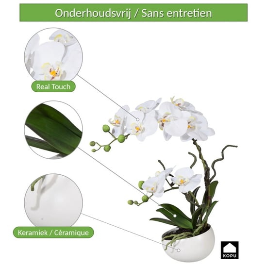Kopu ® künstliche Orchidee 42 cm – in Schale, Phalaenopsis - Image 6