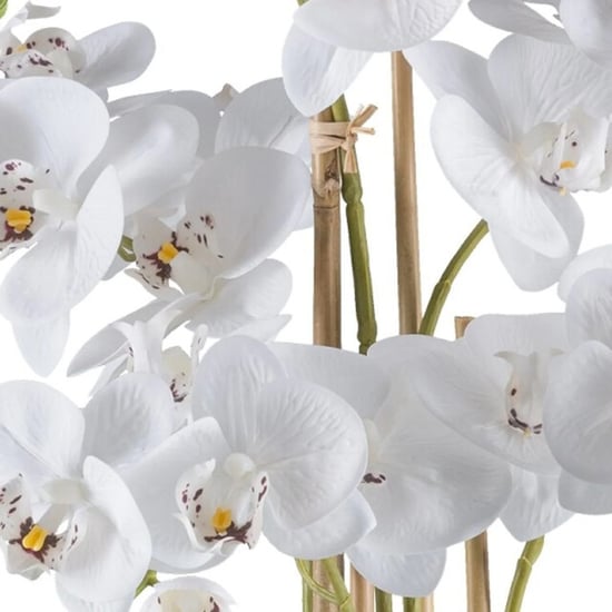 Kopu ® Kunstorchidee 70 cm – 5 Zweige schwarzer Topf Phalaenopsis - Image 4