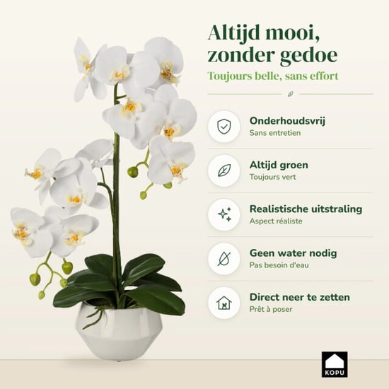 Kopu ® Kunstorchidee 52 cm – in keramischem Topf Phalaenopsis - Image 6