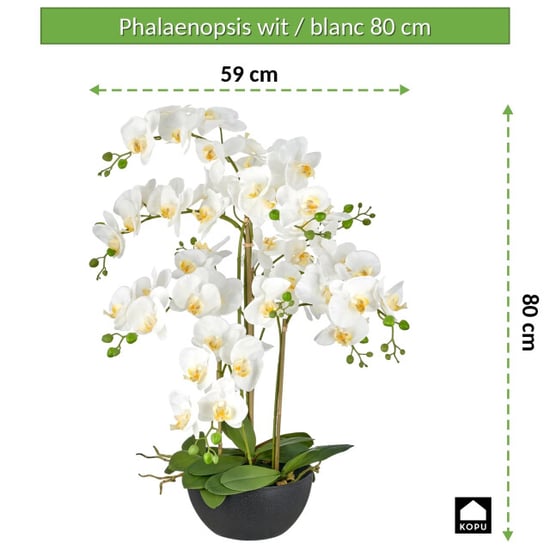 Kopu ® künstliche Orchidee 80 cm - schwarze Schale Phalaenopsis - Image 4