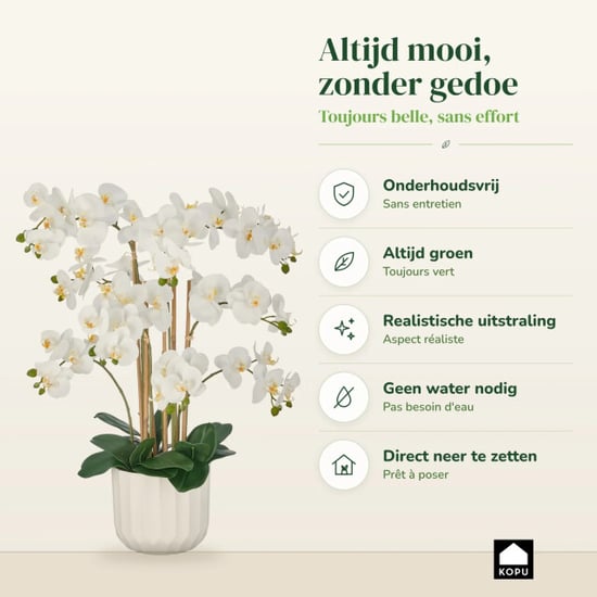 Kopu ® Kunstorchidee 80 cm – 9 Zweige im Topf Phalaenopsis - Image 4