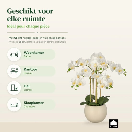 Kopu ® künstliche Orchidee 65 cm – Phalaenopsis im cremefarbenen Topf - Image 5