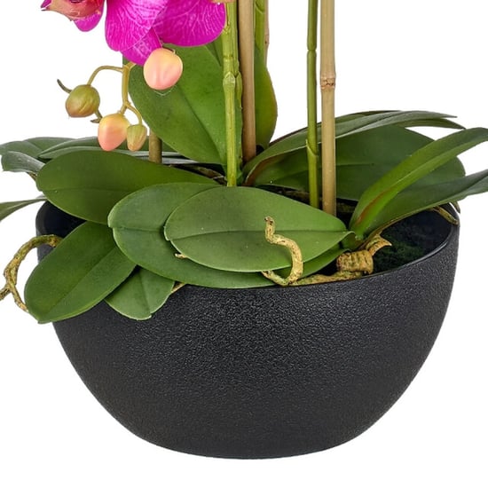 Kopu ® künstliche Orchidee 80 cm – schwarze Schale Phalaenopsis - Image 4