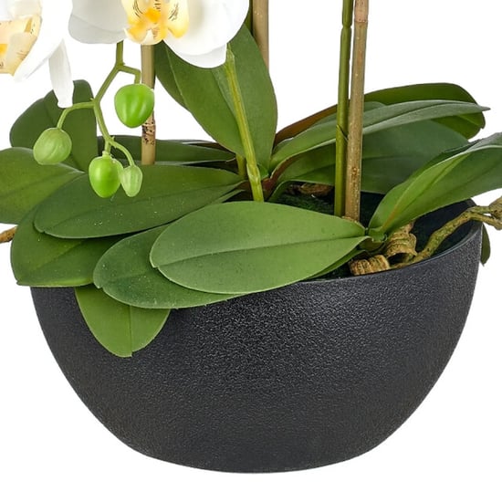 Kopu ® künstliche Orchidee 80 cm - schwarze Schale Phalaenopsis - Image 5