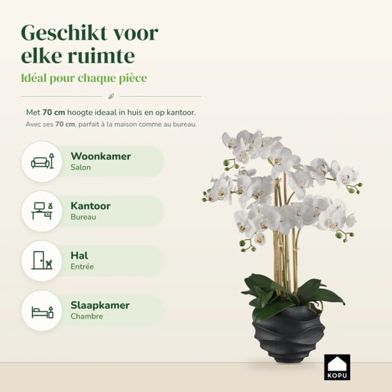 Kopu ® Kunstorchidee 70 cm – 5 Zweige schwarzer Topf Phalaenopsis - Image 5