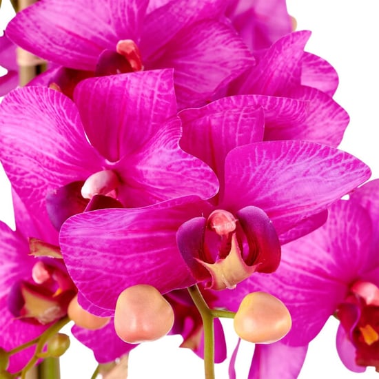 Kopu ® künstliche Orchidee 80 cm – schwarze Schale Phalaenopsis - Image 5
