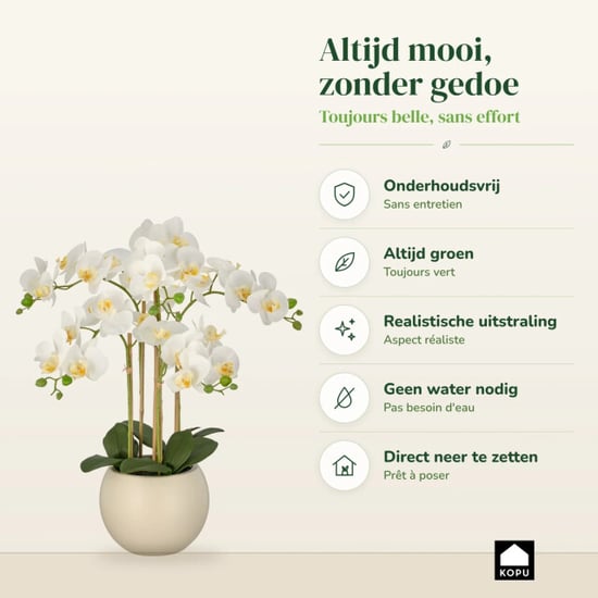 Kopu ® künstliche Orchidee 65 cm – Phalaenopsis im cremefarbenen Topf - Image 6