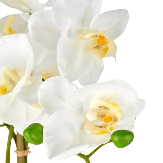 Kopu ® künstliche Orchidee 80 cm - schwarze Schale Phalaenopsis - Image 6