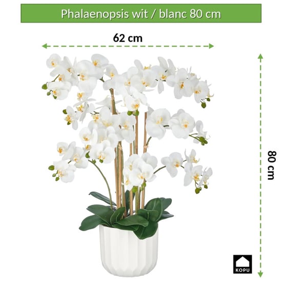 Kopu ® Kunstorchidee 80 cm – 9 Zweige im Topf Phalaenopsis - Image 6
