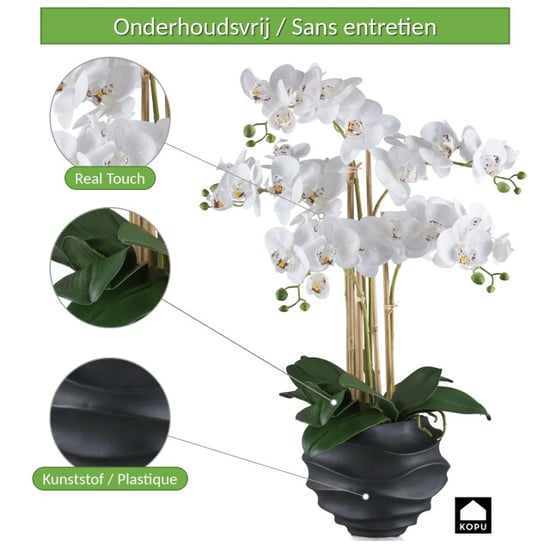 Kopu ® Kunstorchidee 70 cm – 5 Zweige schwarzer Topf Phalaenopsis - Image 6