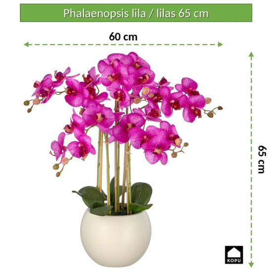 Kopu ® künstliche Orchidee 65 cm – Phalaenopsis im cremefarbenen Topf - Image 5