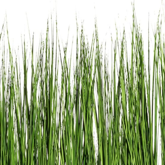 Kopu ® Kunstgras-Raumteiler 150 x 92 cm Ziergras im Pflanzgefäß - Image 6