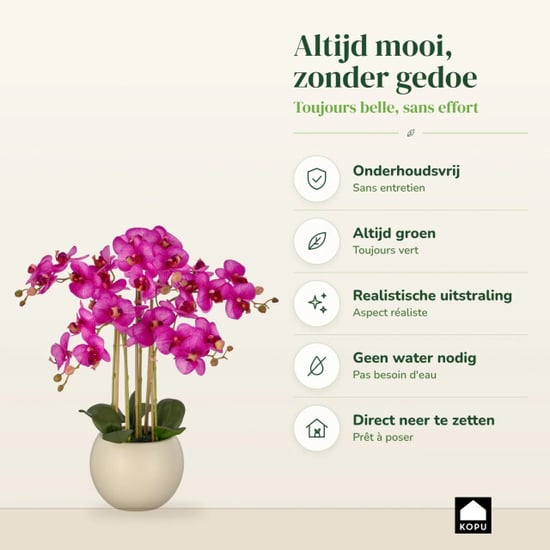 Kopu ® künstliche Orchidee 65 cm – Phalaenopsis im cremefarbenen Topf - Image 6