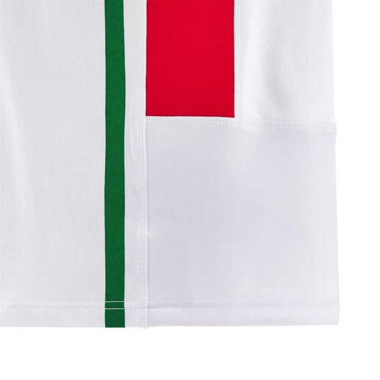 Macron - "2024" Auswärtstrikot für Kinder, Welsh Rugby Union (Weiß/Grün) - Image 4