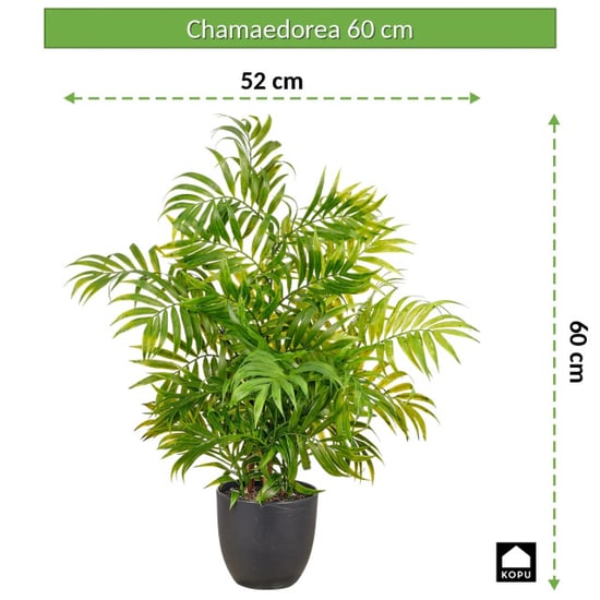 Kopu ® Kunstpflanze Bergpalme 60 cm schwarzer Topf Chamaedorea - Image 2
