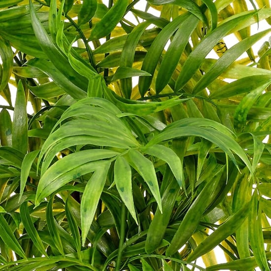 Kopu ® Kunstpflanze Bergpalme 60 cm schwarzer Topf Chamaedorea - Image 3