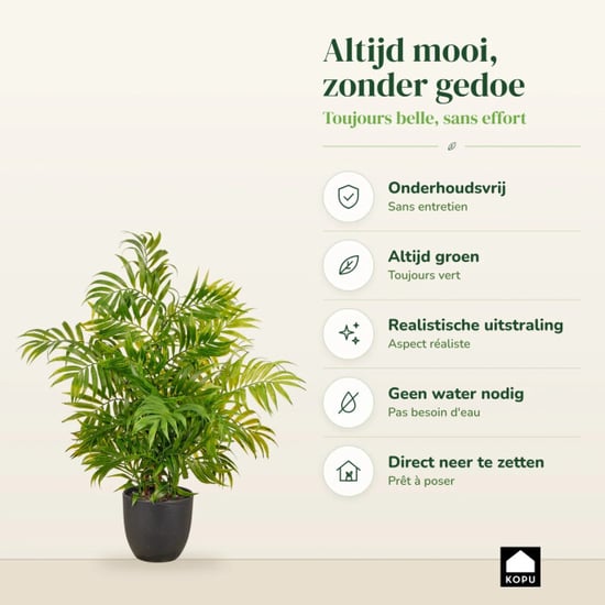 Kopu ® Kunstpflanze Bergpalme 60 cm schwarzer Topf Chamaedorea - Image 4
