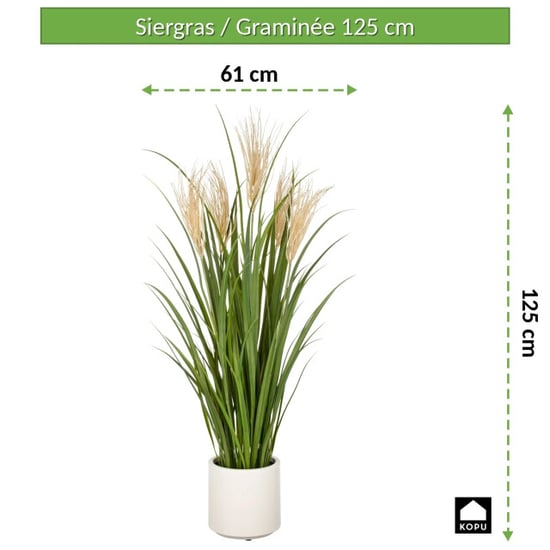 Kopu ® künstliches Ziergras 125 cm mit Wedeln cremefarbener Topf - Image 5
