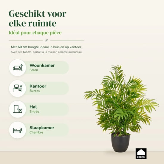 Kopu ® Kunstpflanze Bergpalme 60 cm schwarzer Topf Chamaedorea - Image 5