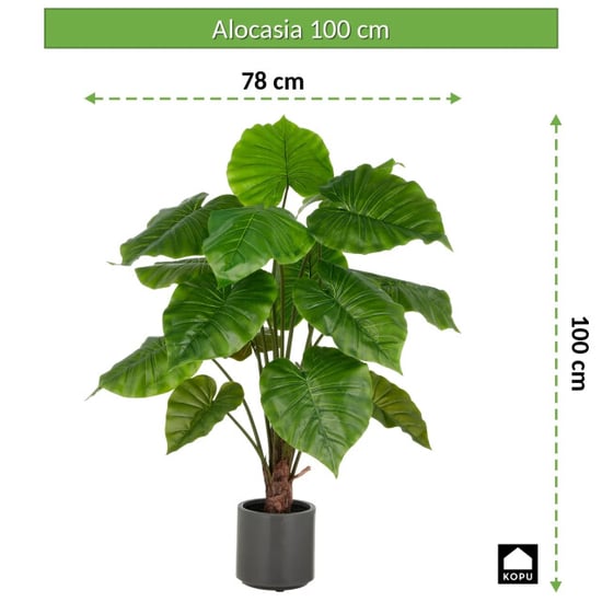 Kopu ® künstliche Alocasia-Pflanze 100 cm grauer Topf Elefantenohr - Image 3