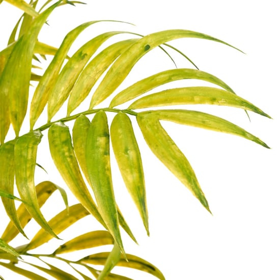 Kopu ® Kunstpflanze Bergpalme 60 cm schwarzer Topf Chamaedorea - Image 6
