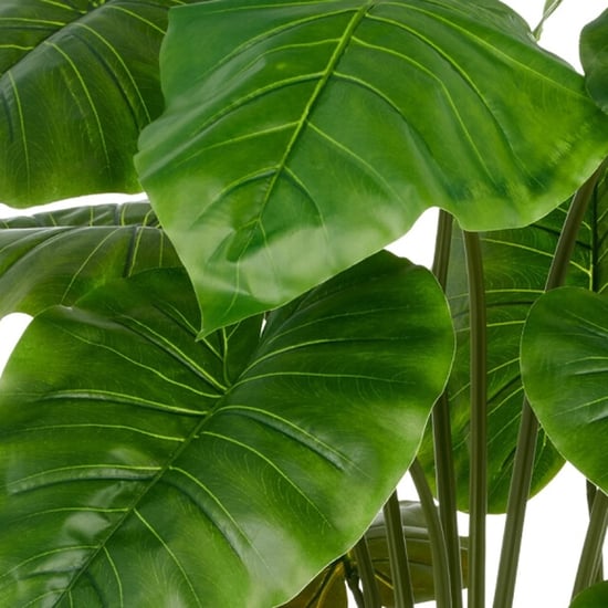 Kopu ® künstliche Alocasia-Pflanze 100 cm grauer Topf Elefantenohr - Image 4