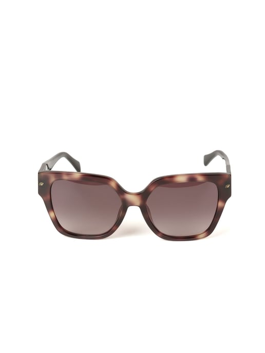 Blumarine Sonnenbrille Havana Braun/Glänzend Beige - Image 2