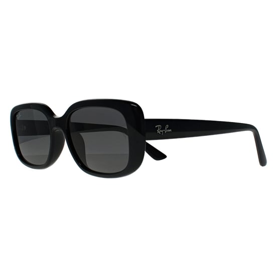 Ray-Ban RB4421D Bio Based 667787 poliert schwarz dunkelgrau Sonnenbrille - Image 2