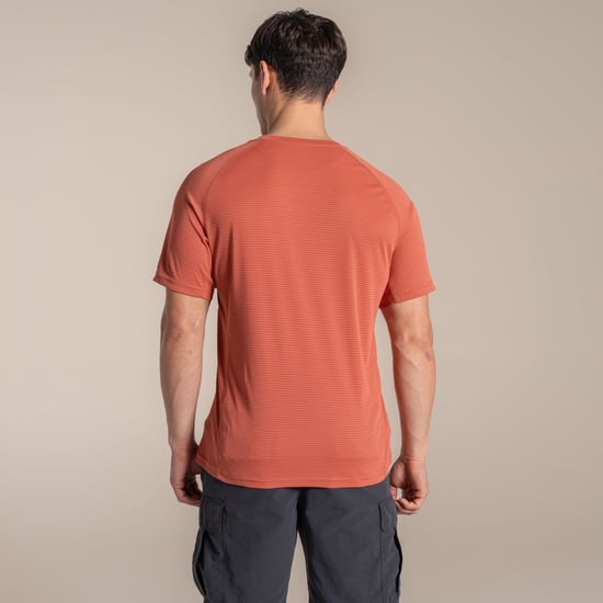 Craghoppers - T-Shirt für Herren, Nosilife (Dunkle Sahara) - Image 3