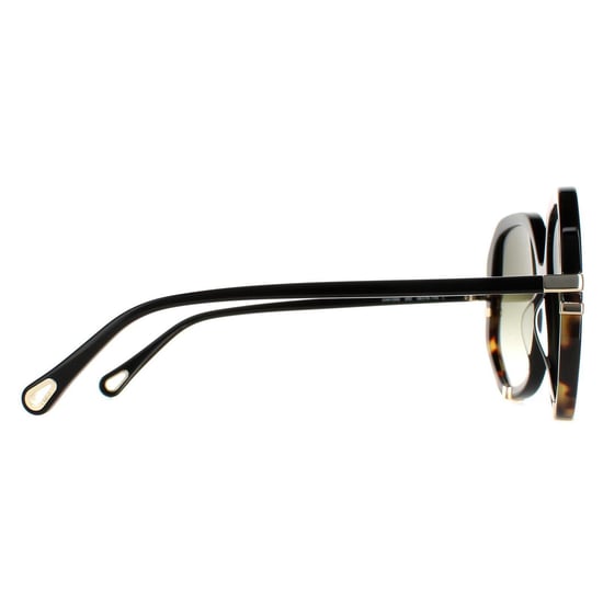 Chloe Square Womens Glänzend Schwarz und Schildkröte Grün Gradient CH0105S - Image 4