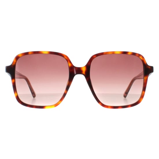 Ted Baker Sonnenbrille TB1688 100 52 - Image 1