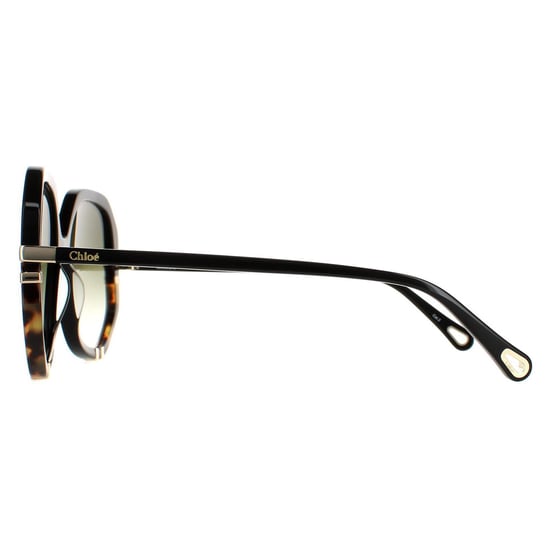 Chloe Square Womens Glänzend Schwarz und Schildkröte Grün Gradient CH0105S - Image 3