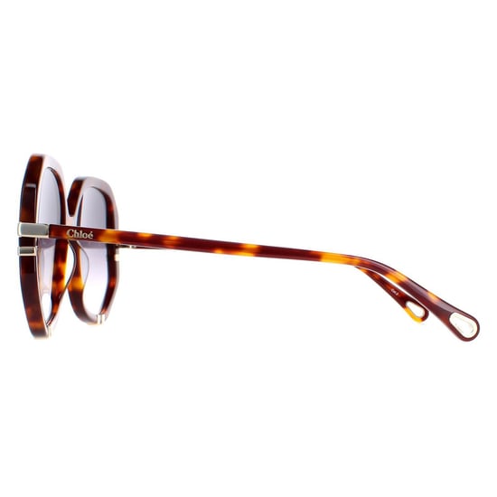 Chloe Square Womens Schildpatt Grau Gradient CH0105S - Image 3