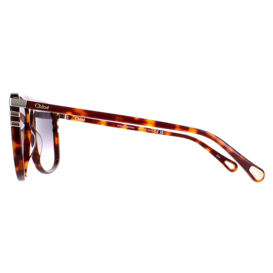 Chloe Aviator Damen Glänzend Medium Havanna Grau Gradient CH0104S - Image 3
