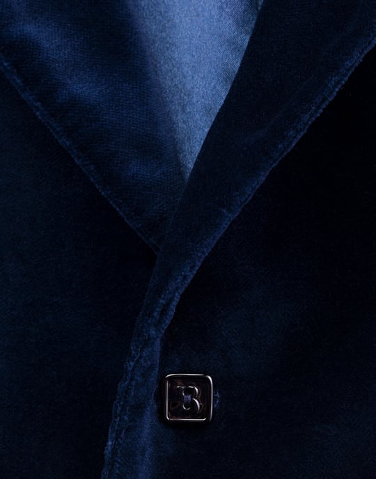 Blazer Lion - Image 3