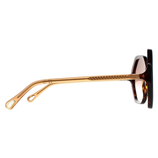 Chloe Round Womens Dark Havana and Brown Crystal Brown Gradient CH0008S Esther - Image 4
