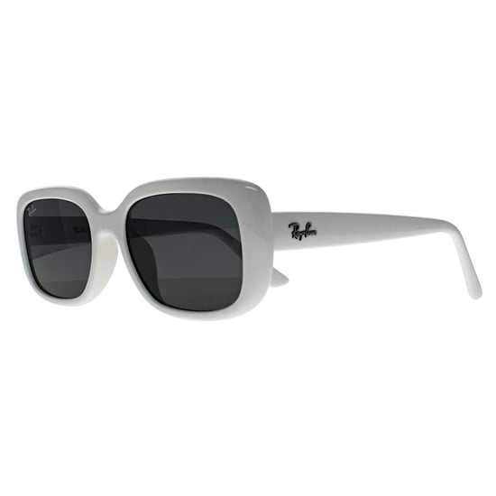 Ray-Ban RB4421D Bio Based 667787 poliert schwarz dunkelgrau Sonnenbrille - Image 2