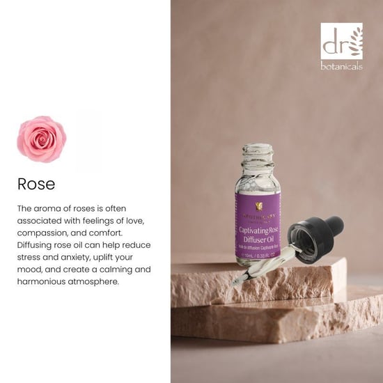 Dr. Botanicals Bezauberndes Rosen-Diffusoröl 10 ml - Image 2