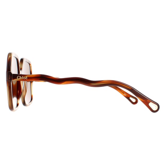 Chloe Quadratisch Damen Havanna Braun CH0086S Zelie - Image 3