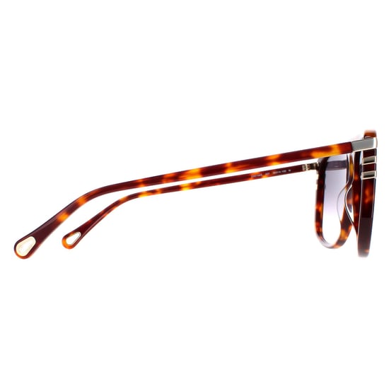 Chloe Aviator Damen Glänzend Medium Havanna Grau Gradient CH0104S - Image 4